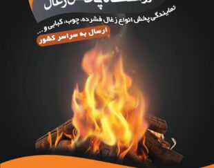 زغال کبابی اتش طلایی